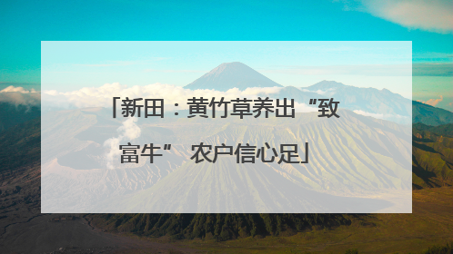 新田：黄竹草养出“致富牛” 农户信心足