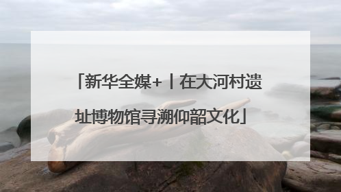 新华全媒+丨在大河村遗址博物馆寻溯仰韶文化