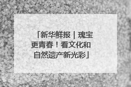 新华鲜报｜瑰宝更青春！看文化和自然遗产新光彩