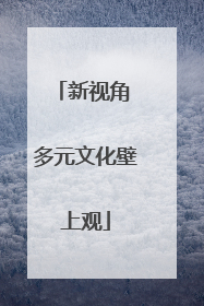新视角 多元文化壁上观