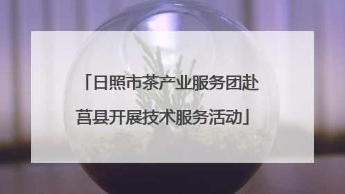 日照市茶产业服务团赴莒县开展技术服务活动