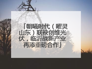 朝曦时代（曜灵山东）联袂创维光伏，临沂战新产业再添重磅合作