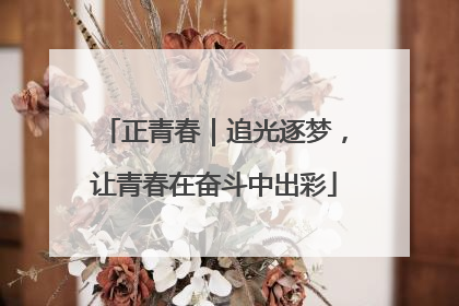 正青春｜追光逐梦，让青春在奋斗中出彩