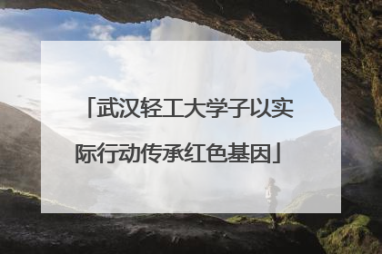 武汉轻工大学子以实际行动传承红色基因