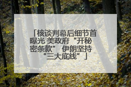 核谈判幕后细节首曝光 美政府“开秘密条款” 伊朗坚持“三大底线”