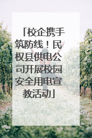 校企携手筑防线！民权县供电公司开展校园安全用电宣教活动