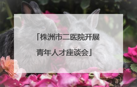 株洲市二医院开展青年人才座谈会