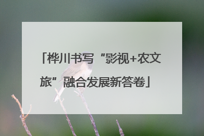 桦川书写“影视+农文旅”融合发展新答卷