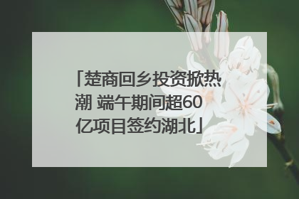 楚商回乡投资掀热潮 端午期间超60亿项目签约湖北