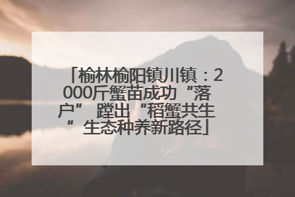 榆林榆阳镇川镇：2000斤蟹苗成功“落户” 蹚出“稻蟹共生”生态种养新路径