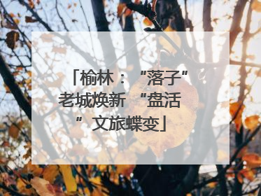 榆林：“落子”老城焕新 “盘活”文旅蝶变