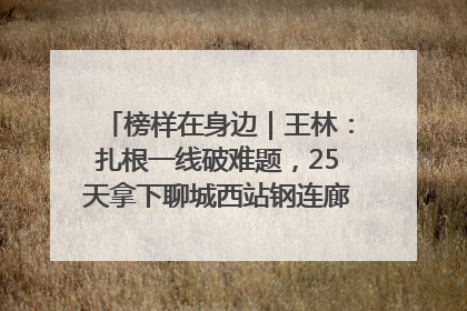 榜样在身边｜王林：扎根一线破难题，25天拿下聊城西站钢连廊“硬核”工程