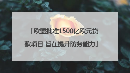 欧盟批准1500亿欧元贷款项目 旨在提升防务能力