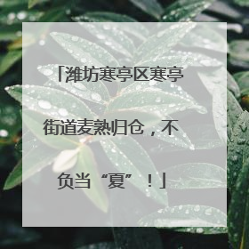 潍坊寒亭区寒亭街道麦熟归仓，不负当“夏”！
