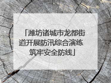 潍坊诸城市龙都街道开展防汛综合演练 筑牢安全防线