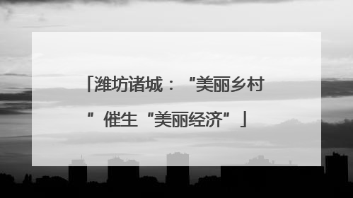 潍坊诸城：“美丽乡村”催生“美丽经济”