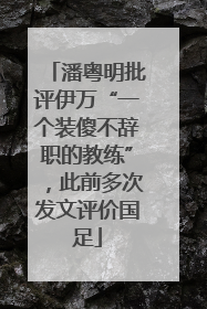 潘粤明批评伊万“一个装傻不辞职的教练”，此前多次发文评价国足