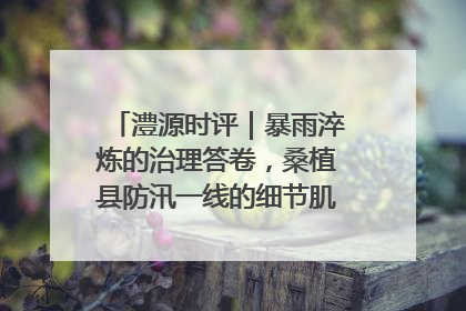 澧源时评｜暴雨淬炼的治理答卷，桑植县防汛一线的细节肌理与体系力量