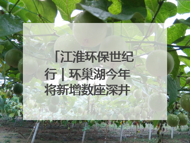 江淮环保世纪行｜环巢湖今年将新增数座深井控藻平台