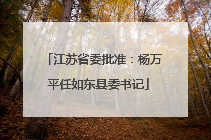 江苏省委批准：杨万平任如东县委书记
