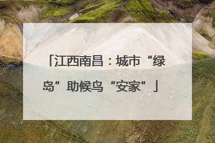 江西南昌：城市“绿岛”助候鸟“安家”