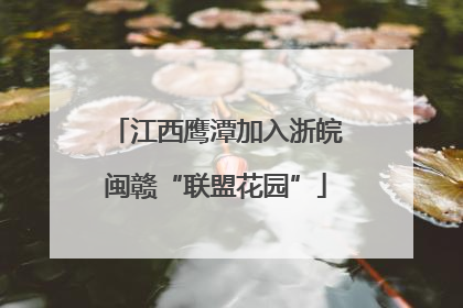 江西鹰潭加入浙皖闽赣“联盟花园”