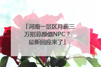 河南一景区月薪三万招募颜值NPC？最新回应来了
