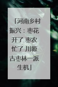 河南乡村振兴：枣花开了 枣农忙了 川塬古枣林一派生机