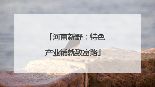 河南新野：特色产业铺就致富路