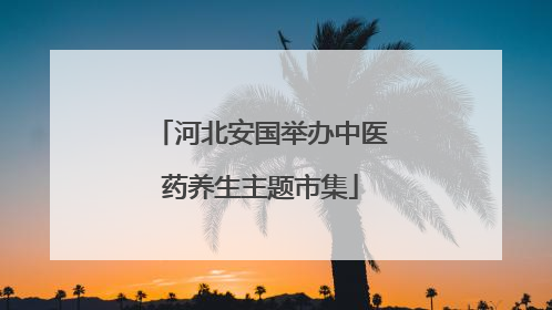 河北安国举办中医药养生主题市集