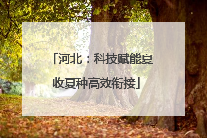 河北：科技赋能夏收夏种高效衔接