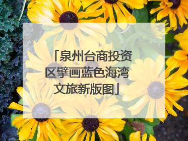 泉州台商投资区擘画蓝色海湾文旅新版图
