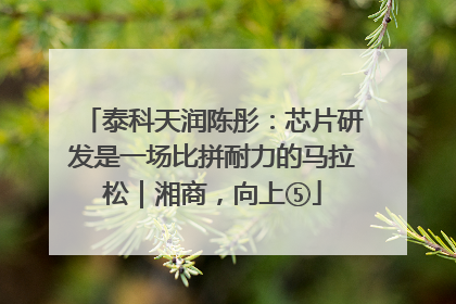 泰科天润陈彤：芯片研发是一场比拼耐力的马拉松｜湘商，向上⑤