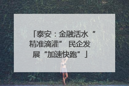 泰安：金融活水“精准滴灌” 民企发展“加速快跑”
