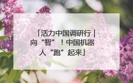 活力中国调研行｜向“智”！中国机器人“跑”起来