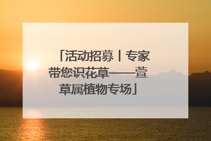 活动招募丨专家带您识花草——萱草属植物专场