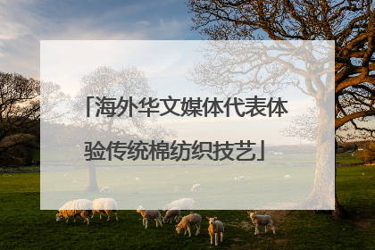 海外华文媒体代表体验传统棉纺织技艺