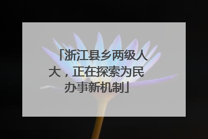 浙江县乡两级人大，正在探索为民办事新机制