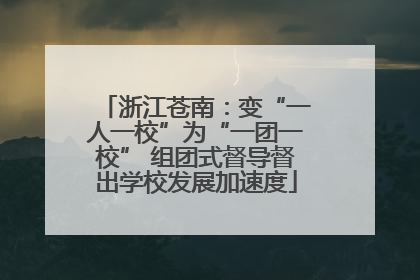 浙江苍南：变“一人一校”为“一团一校” 组团式督导督出学校发展加速度
