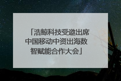 浩鲸科技受邀出席中国移动中资出海数智赋能合作大会