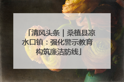 清风头条｜桑植县凉水口镇：强化警示教育 构筑廉洁防线
