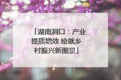 湖南洞口：产业提质增效 绘就乡村振兴新图景