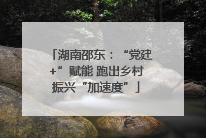湖南邵东：“党建+”赋能 跑出乡村振兴“加速度”