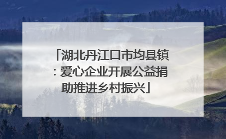 湖北丹江口市均县镇：爱心企业开展公益捐助推进乡村振兴