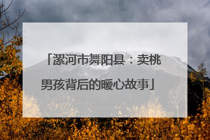漯河市舞阳县：卖桃男孩背后的暖心故事
