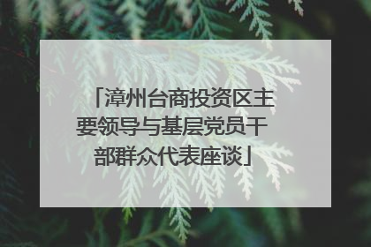 漳州台商投资区主要领导与基层党员干部群众代表座谈
