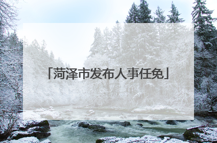 菏泽市发布人事任免