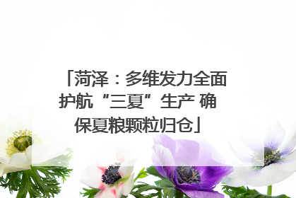 菏泽：多维发力全面护航“三夏”生产 确保夏粮颗粒归仓
