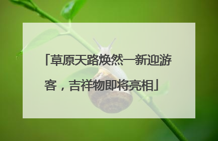 草原天路焕然一新迎游客，吉祥物即将亮相