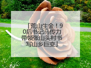 荒山生金！90后书记马传力带领张山头村书写山乡巨变